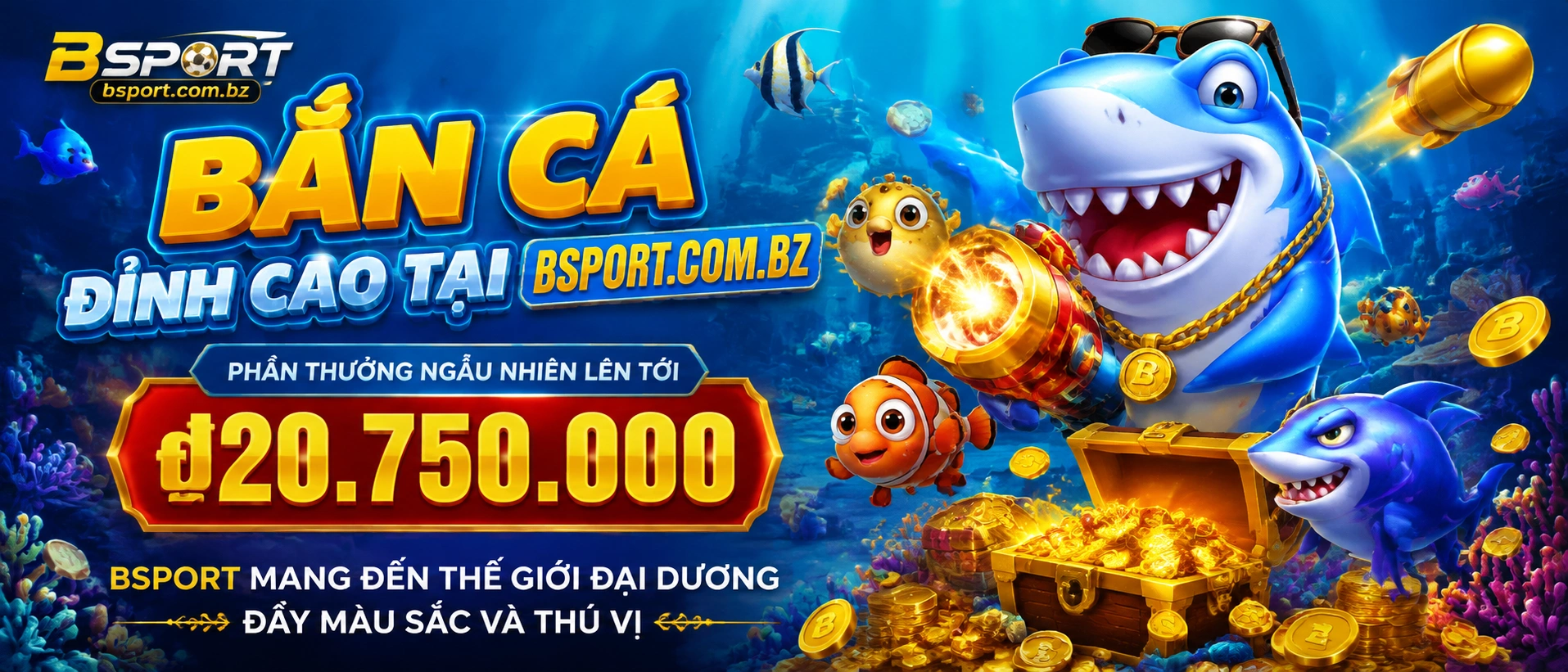 Bsport banca visual