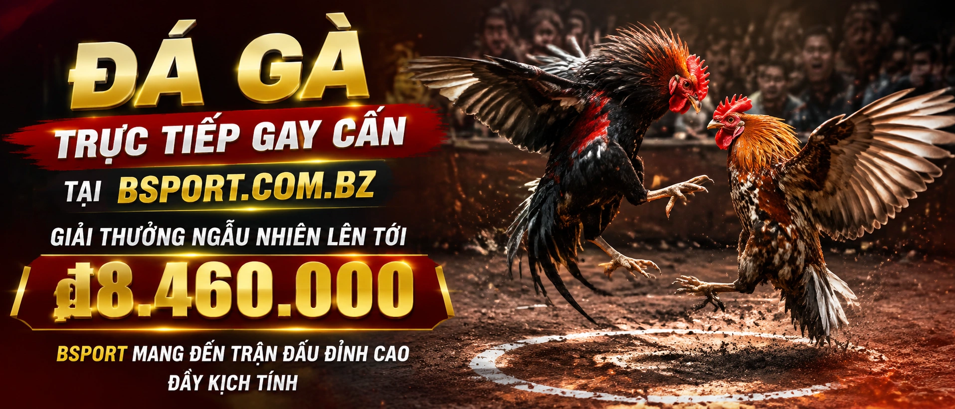 Khung xem Đá Gà Campuchia